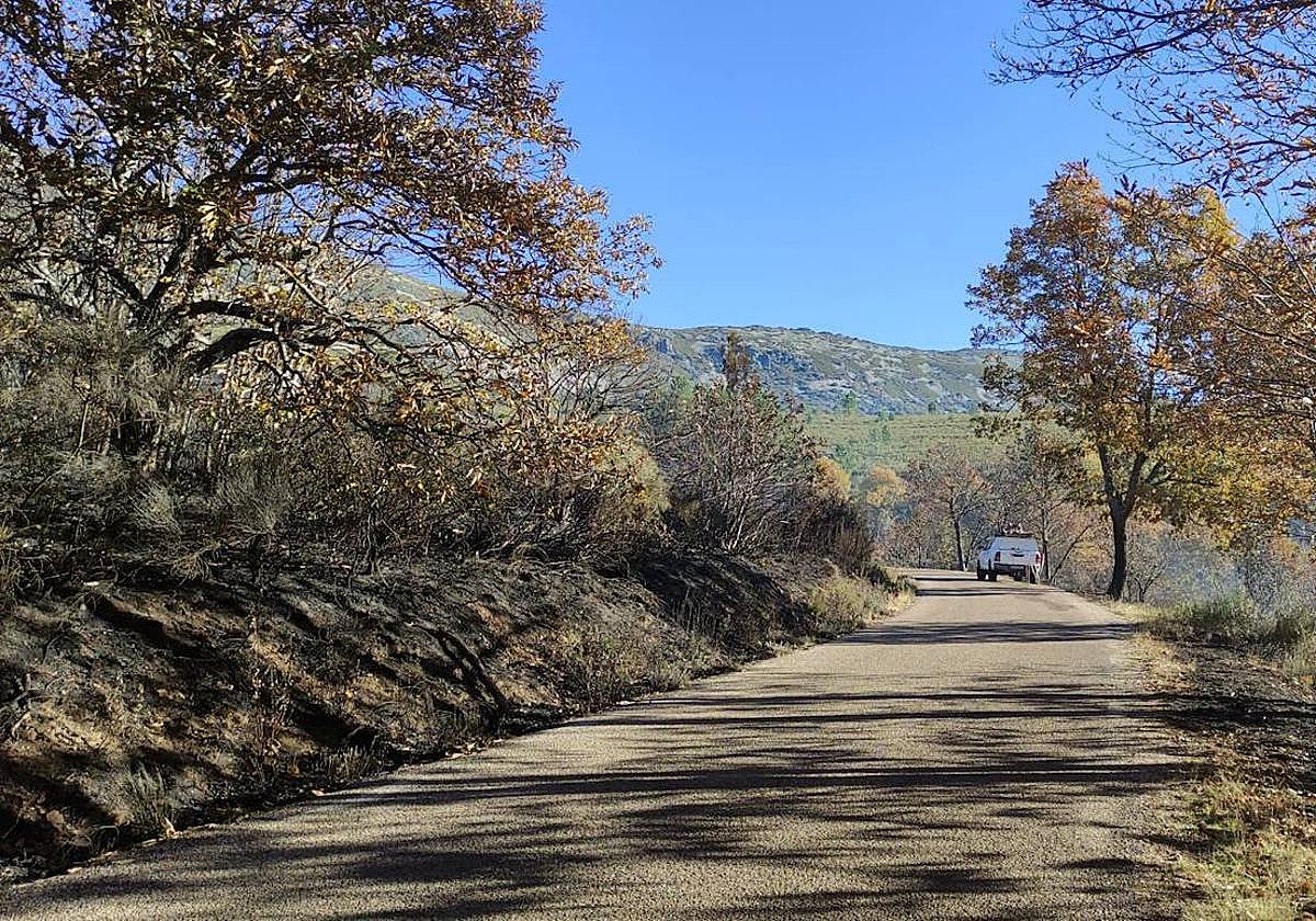 Carretera que conecta Monsagro con la Peña de Francia y que será objeto de las obras.