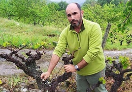 El viticultor José Carlos Martín.