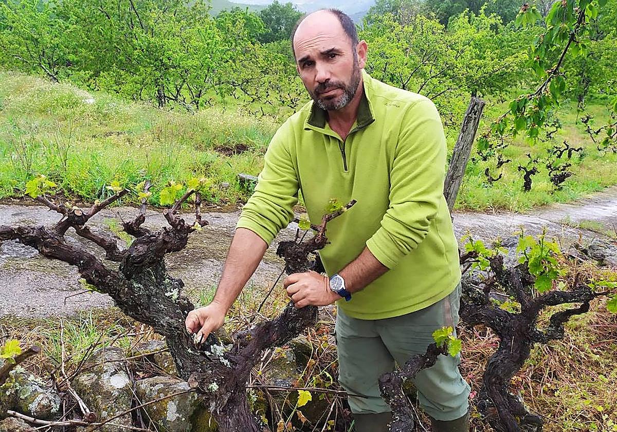 El viticultor José Carlos Martín.