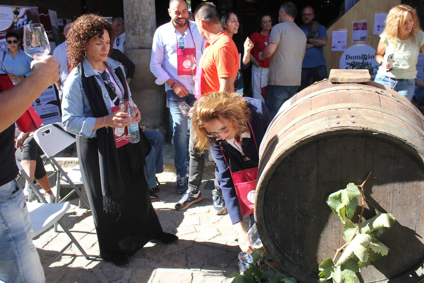 San Martín del Castañar brinda por el vino de la provincia en la XII Fiesta de la Vendimia
