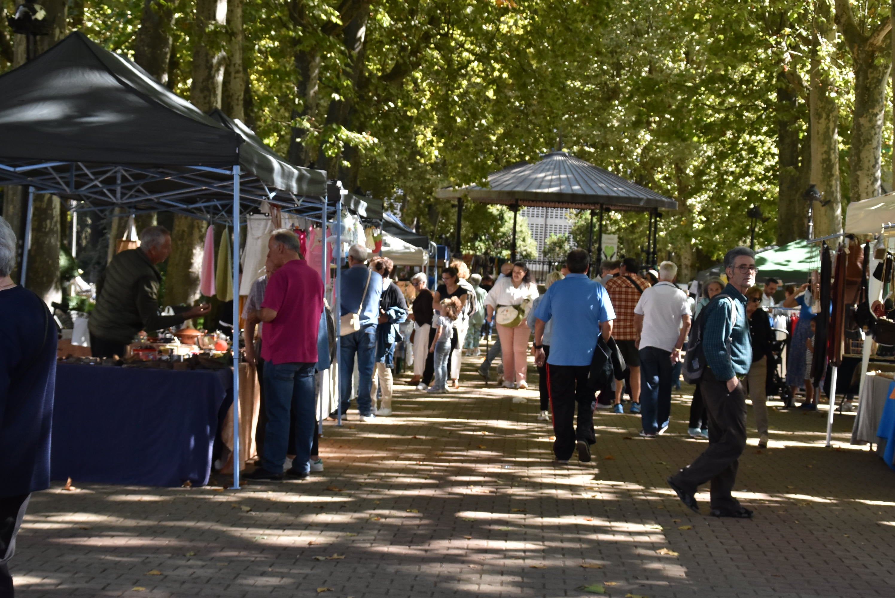 La solidaridad contra el cáncer sale a la calle en Béjar