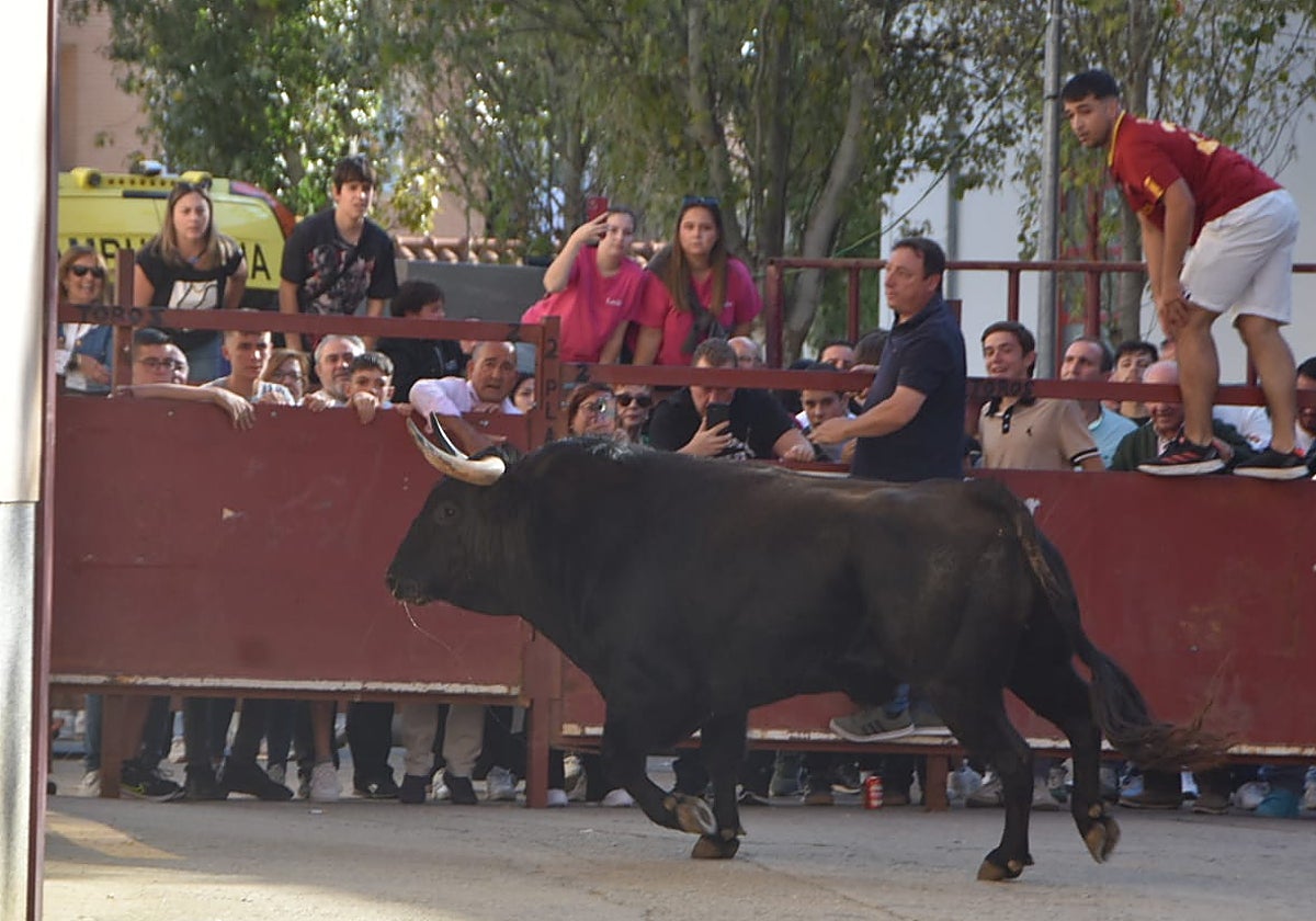 Alba inicia sus fiestas de Santa Teresa con emoción y tradición