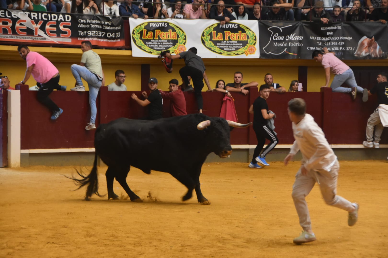 Alba inicia sus fiestas de Santa Teresa con emoción y tradición
