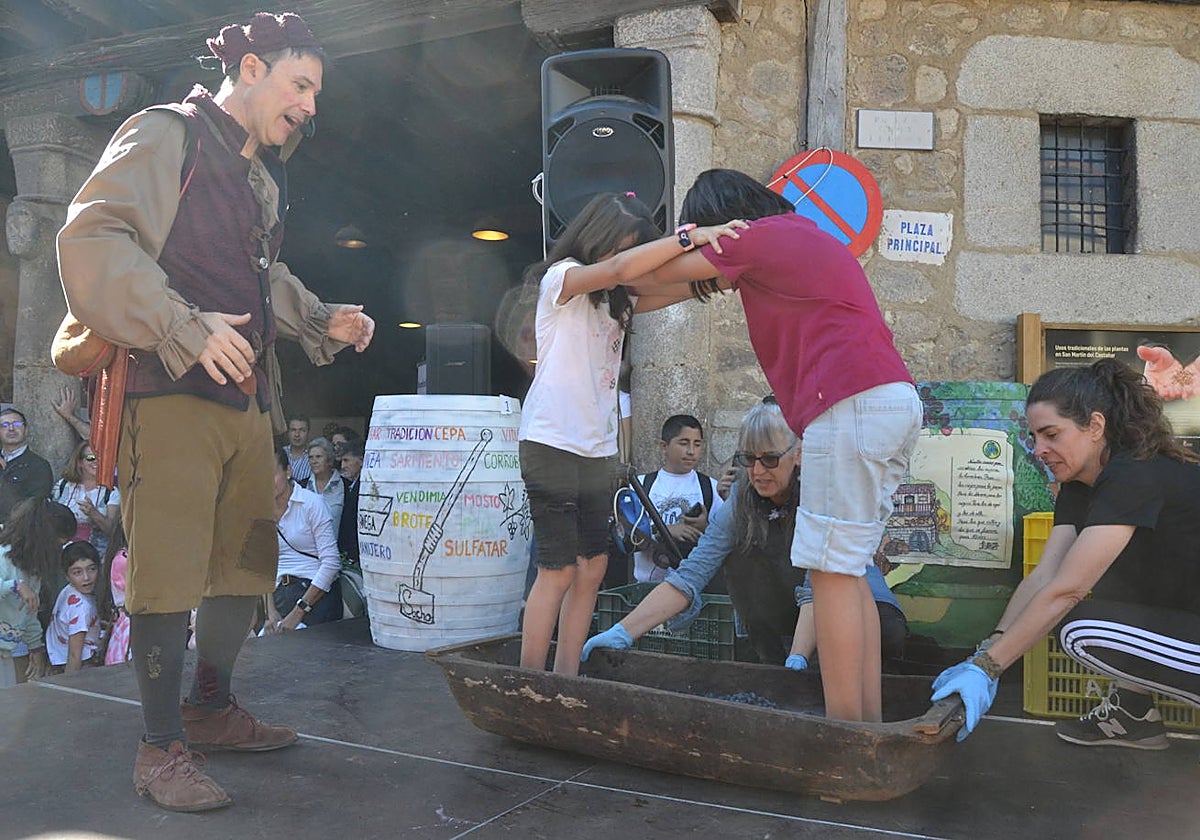 Una oda a la uva y al vino