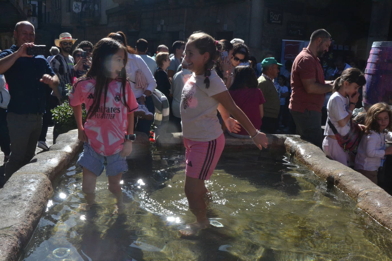 Una oda a la uva y al vino