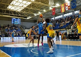Cave, una de las más destacadas de Avenida, lanza a canasta frente al Cadí La Seu.