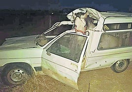 Estado en el que quedó el vehículo, con el caballo aún en su interior, tras el accidente ocurrido este mes en La Fuente de San Esteban.