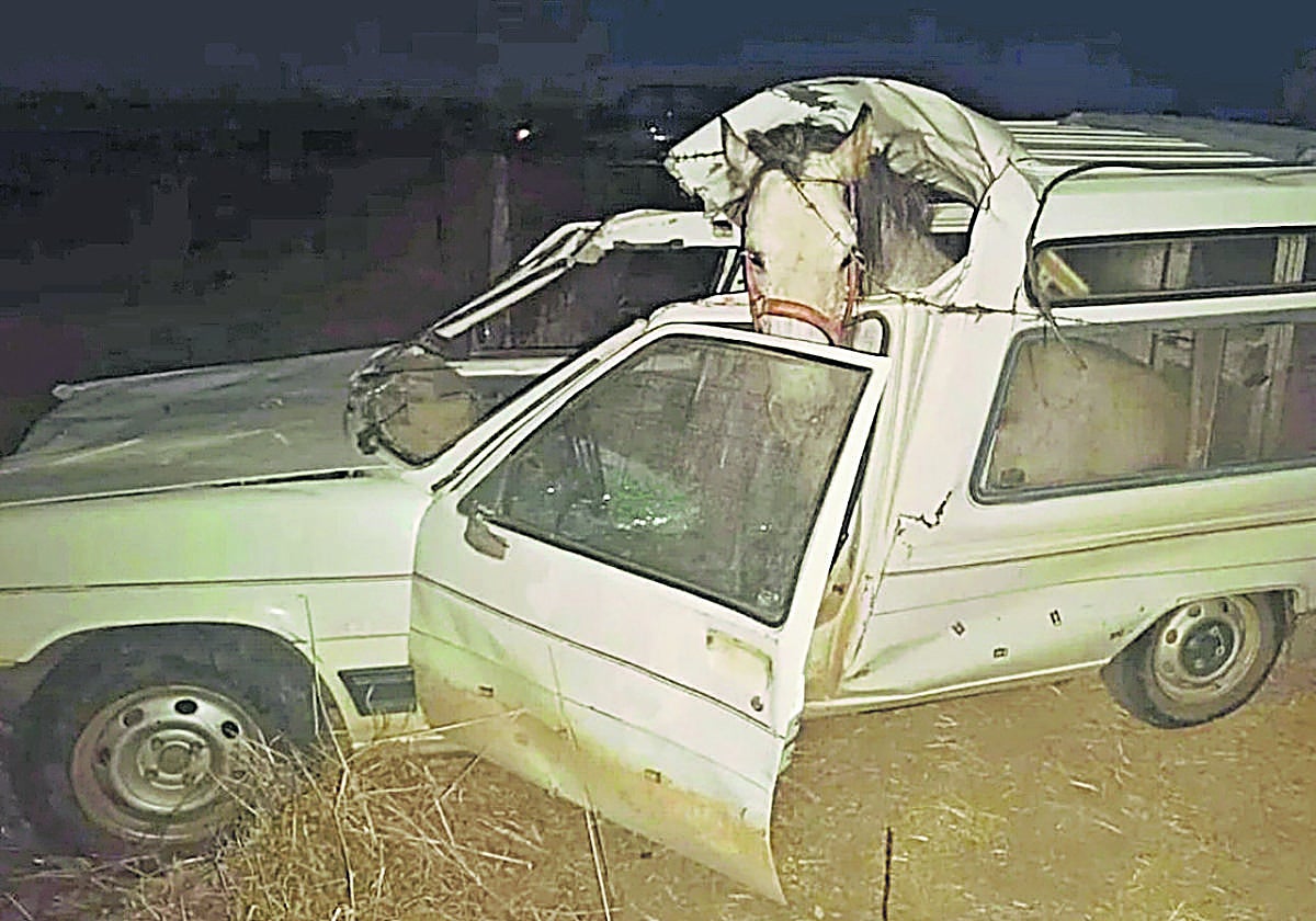 Estado en el que quedó el vehículo, con el caballo aún en su interior, tras el accidente ocurrido este mes en La Fuente de San Esteban.