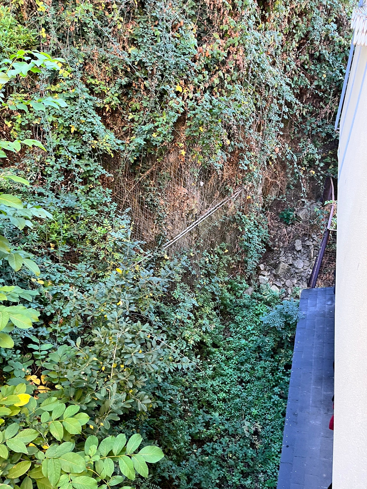 Béjar licita la limpieza del talud de la calle Arco del Monte previa a su consolidación