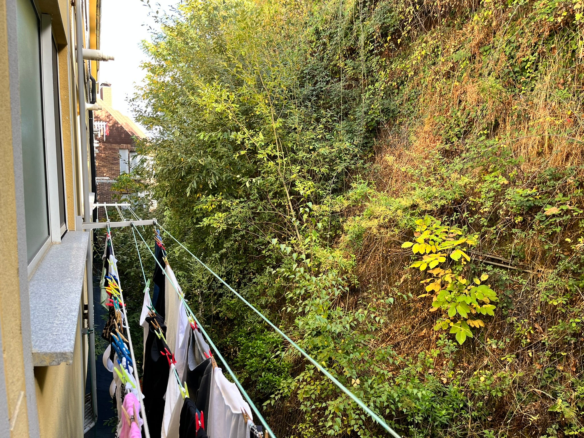 Béjar licita la limpieza del talud de la calle Arco del Monte previa a su consolidación