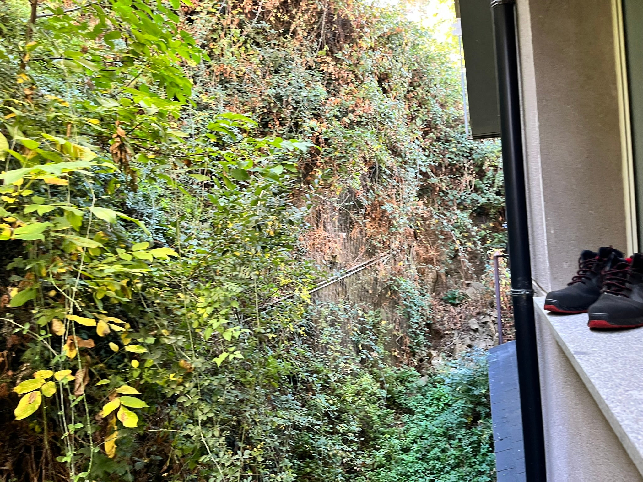 Béjar licita la limpieza del talud de la calle Arco del Monte previa a su consolidación