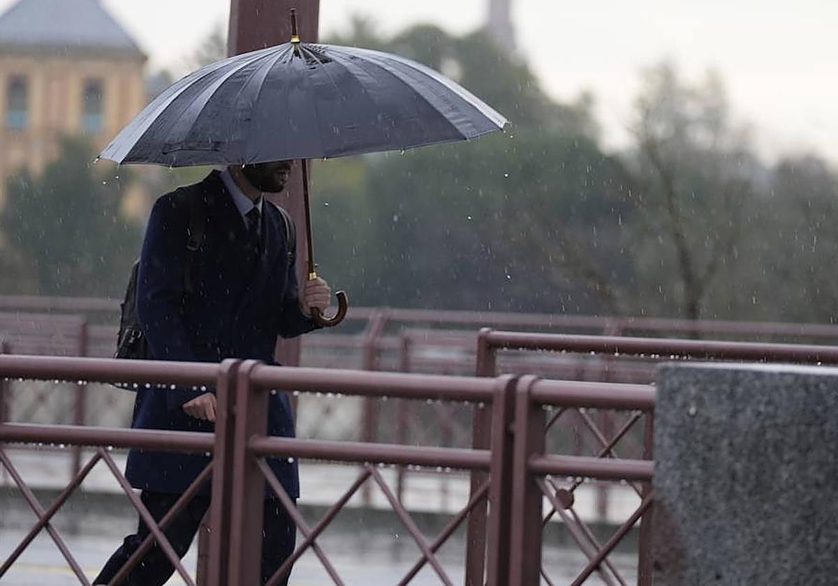 Una persona se protege de la lluvia con un paraguas.