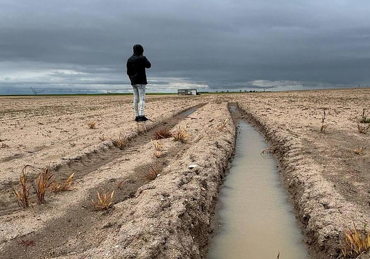 Campos inundados por las lluvias.