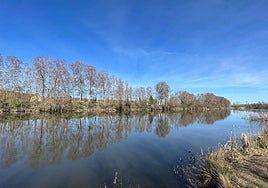 La espectacular lamina de agua del Tormes a su paso por la localidad de Villamayor de Armuña.