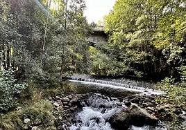 La belleza del otoño se aprecia ya en octubre en la Isla de la Aliseda, a orillas del río Cuerpo de Hombre.