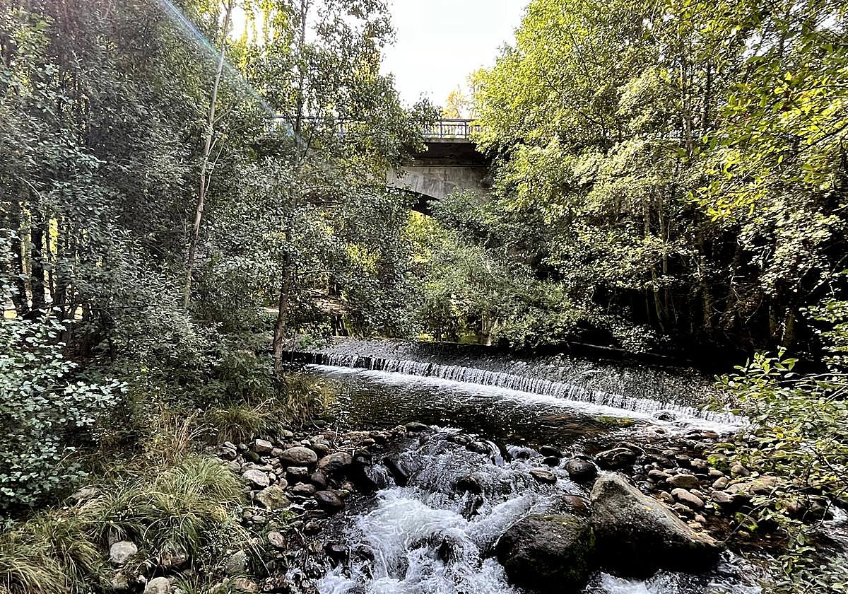 La belleza del otoño se aprecia ya en octubre en la Isla de la Aliseda, a orillas del río Cuerpo de Hombre.