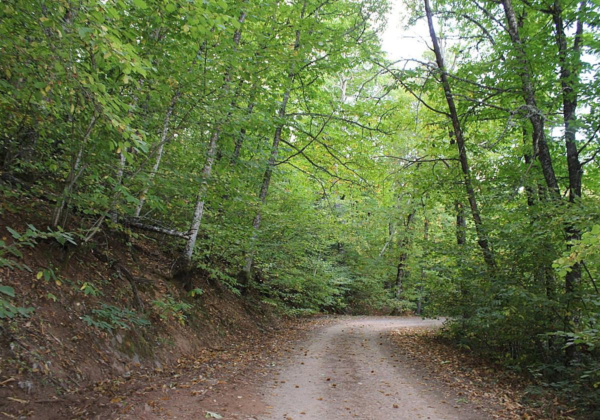 La naturaleza es uno de los emblemas de Linares de Riofrío.
