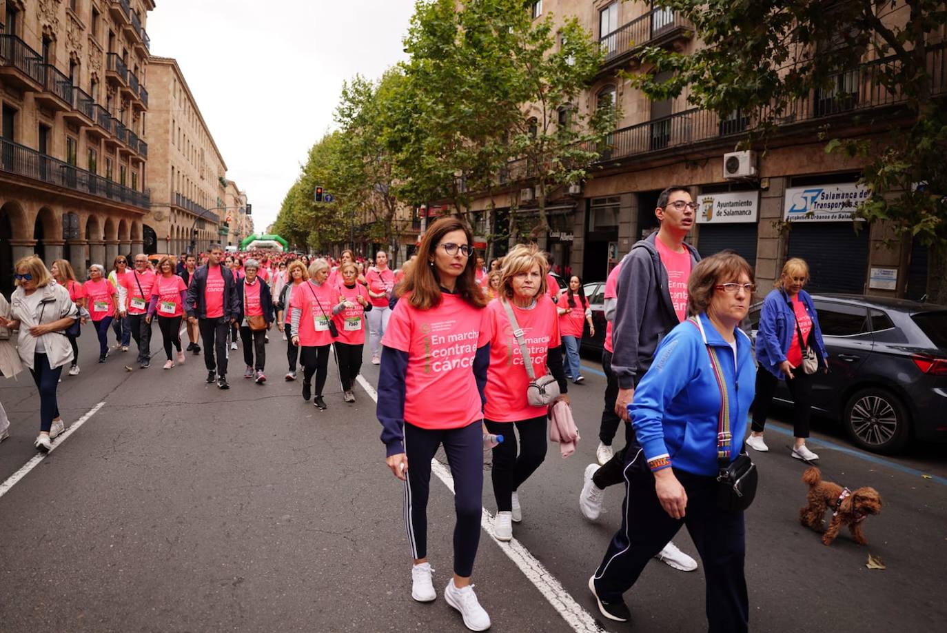 Salamanca &#039;se tiñe&#039; de rosa por el cáncer