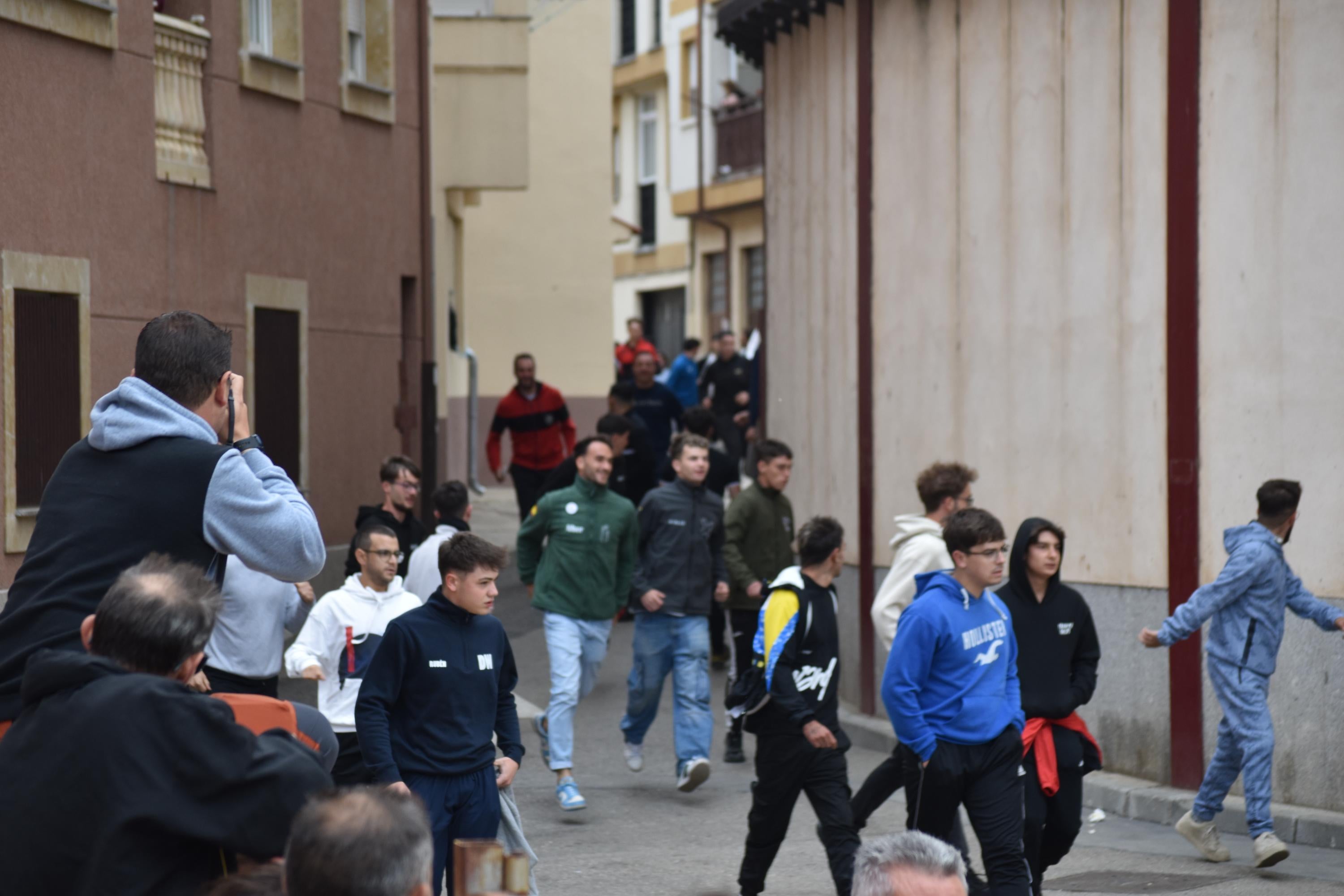 Pasión taurina que une generaciones con encierro de minibueyes y novillos en Alba de Tormes