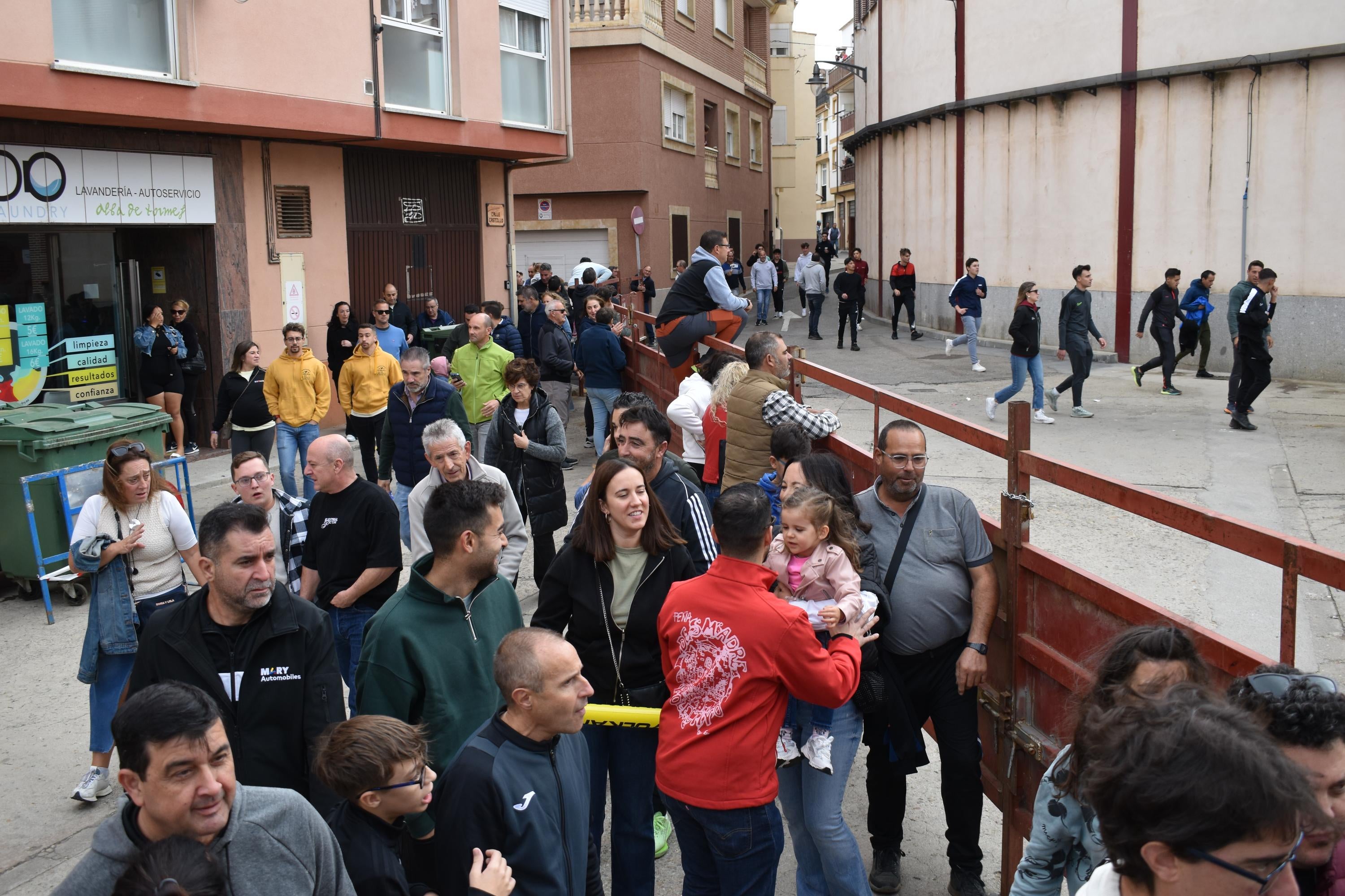Pasión taurina que une generaciones con encierro de minibueyes y novillos en Alba de Tormes