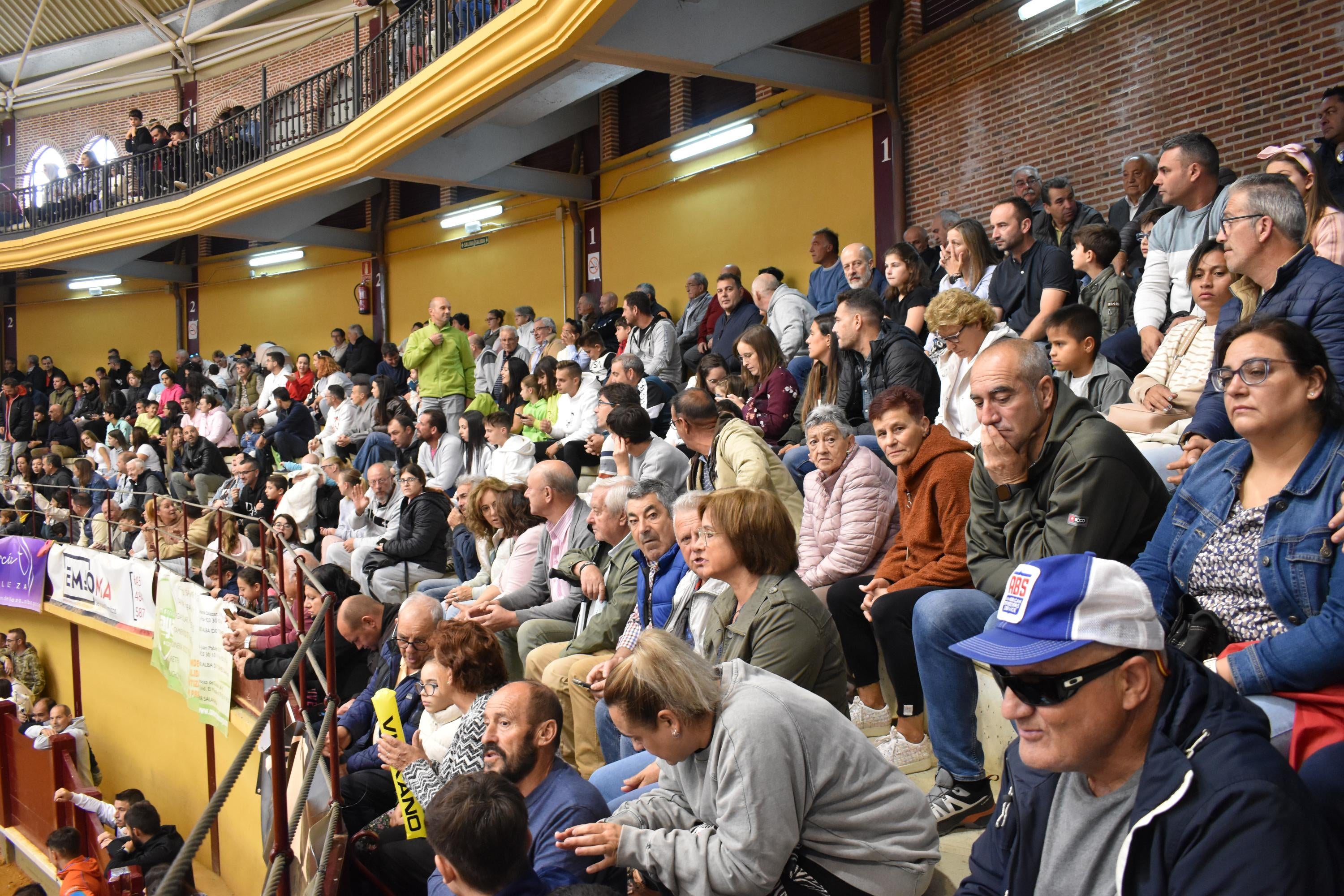 Pasión taurina que une generaciones con encierro de minibueyes y novillos en Alba de Tormes