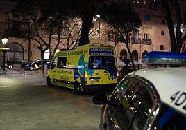 Una ambulancia y dos patrullas de la Policía Nacional, en el centro de Salamanca.