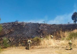 Bomberos sofocan otro fuego forestal en la comarca.