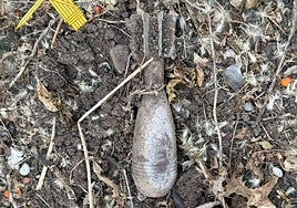 Imagen del artefacto en Parada de Arriba.