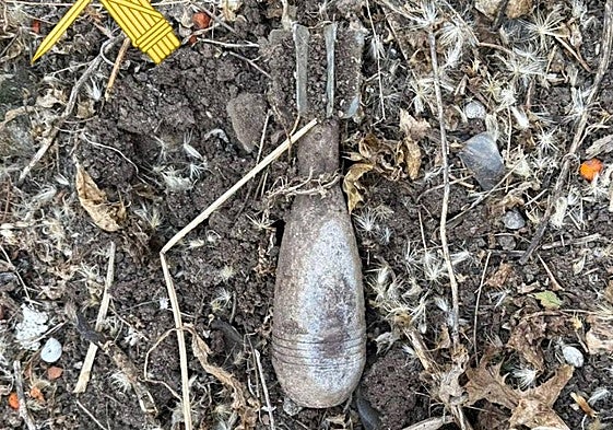 Imagen del artefacto en Parada de Arriba.