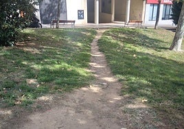 Destrozo de jardines