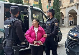 Llegada de la acusada este miércoles a la Audiencia.