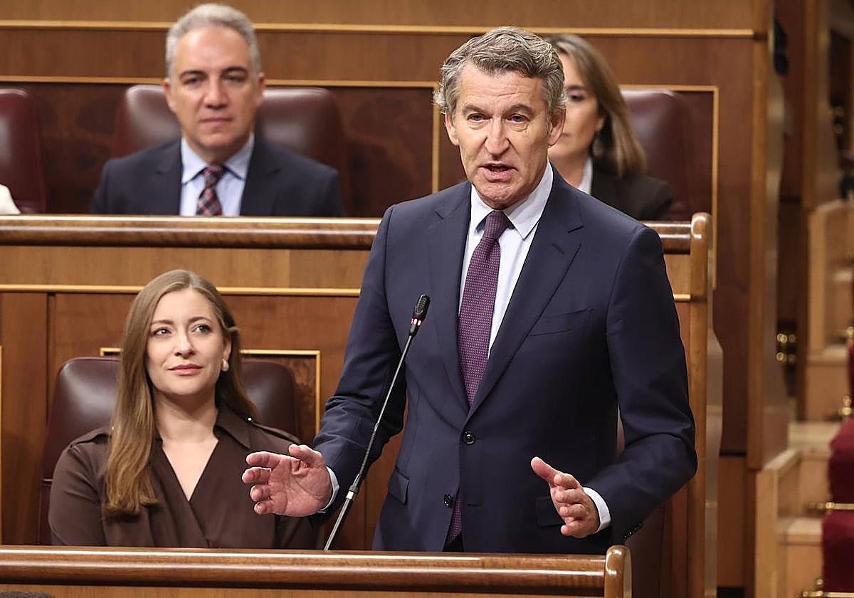 El presidente del Partido Popular, Alberto Núñez Feijóo.