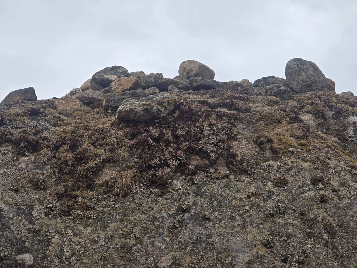 El sendero de las piedras mágicas: donde una agradable ruta de otoño se funde con la leyenda