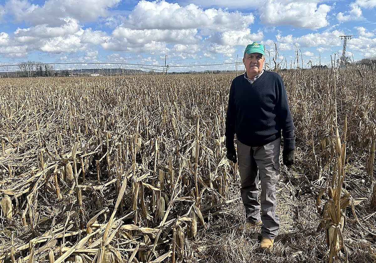 El agricultor Ángel Bonal.