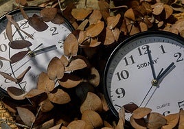 ¿Está a favor de abolir el cambio de hora estacional?