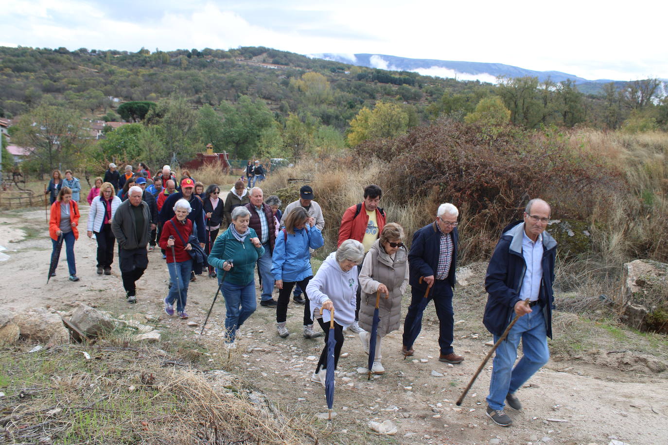 Pasos peregrinos en el Festival de la Candela