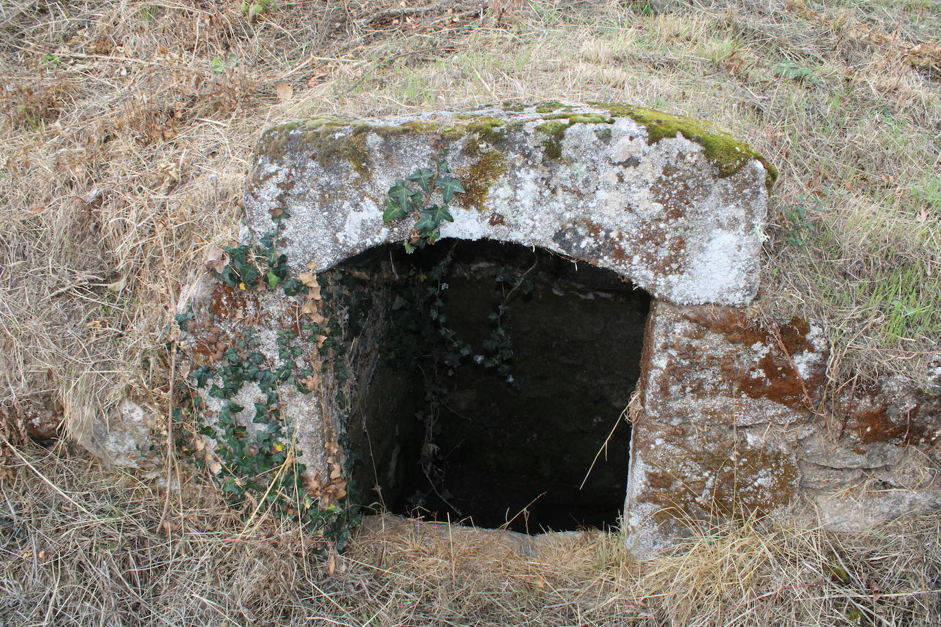 Pasos peregrinos en el Festival de la Candela