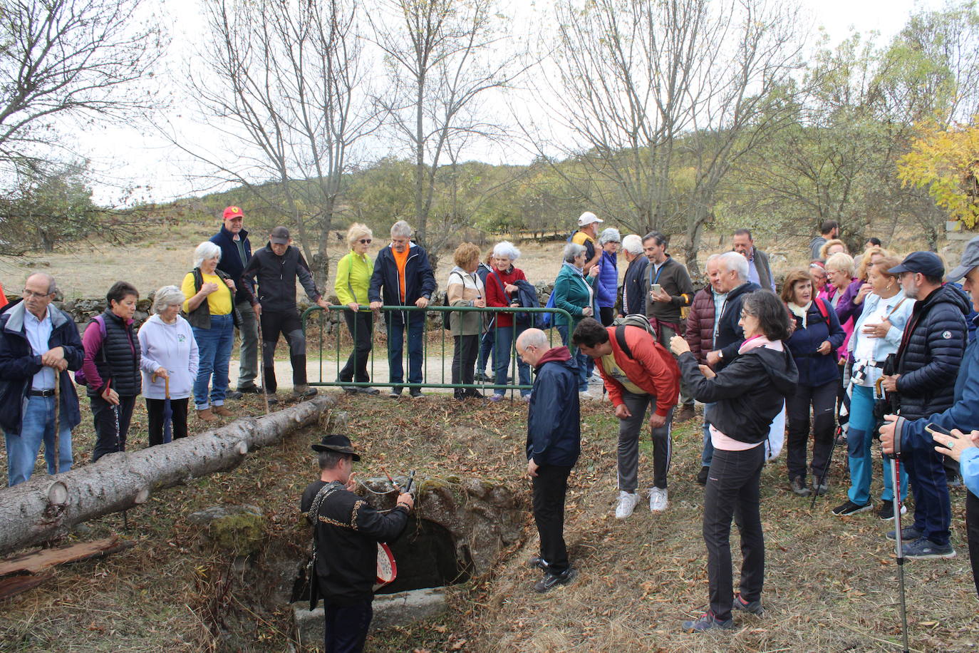 Pasos peregrinos en el Festival de la Candela