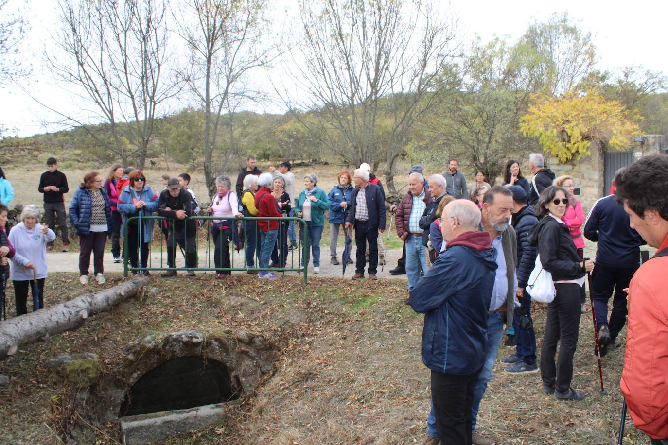 Pasos peregrinos en el Festival de la Candela
