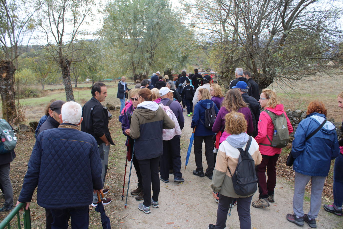 Pasos peregrinos en el Festival de la Candela