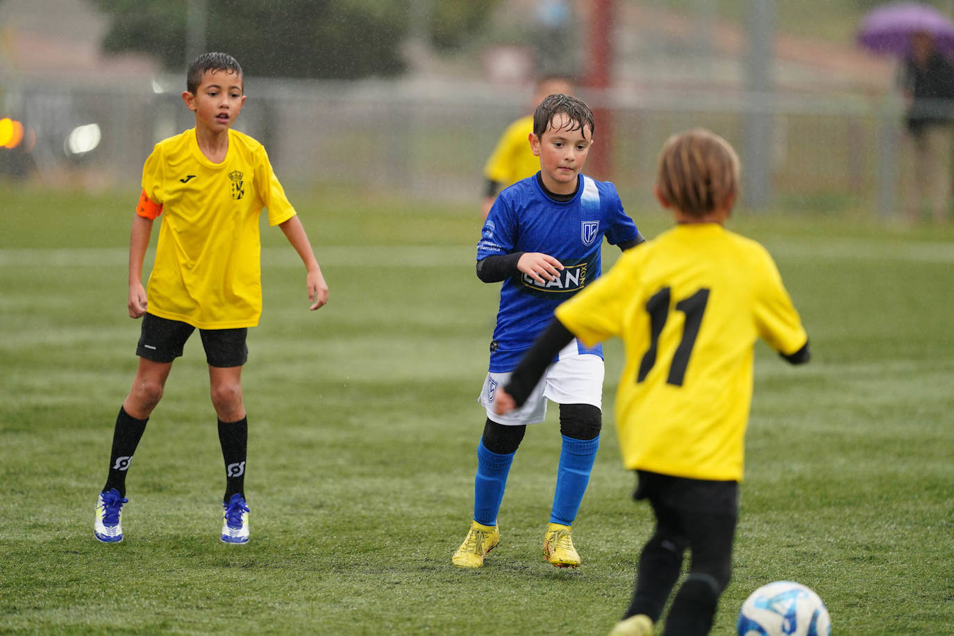 Todas las imágenes de la jornada del fútbol base en Salamanca