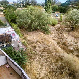 Maleza seca en El Zurguén