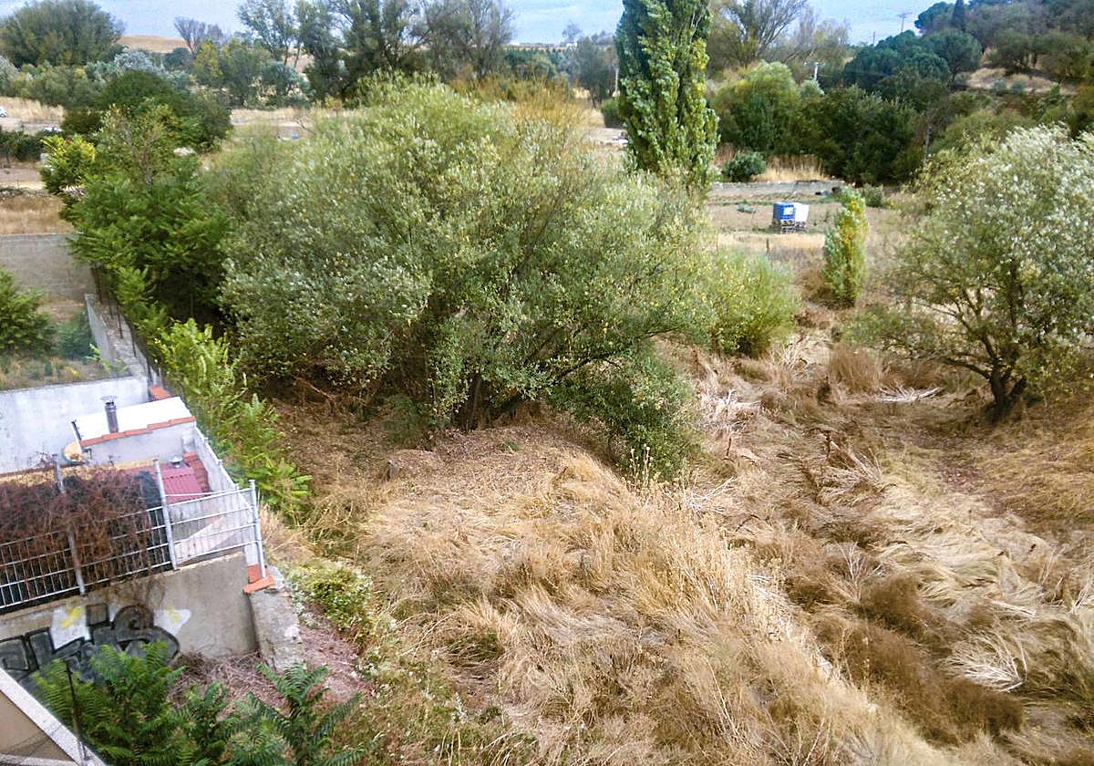 Maleza seca en El Zurguén