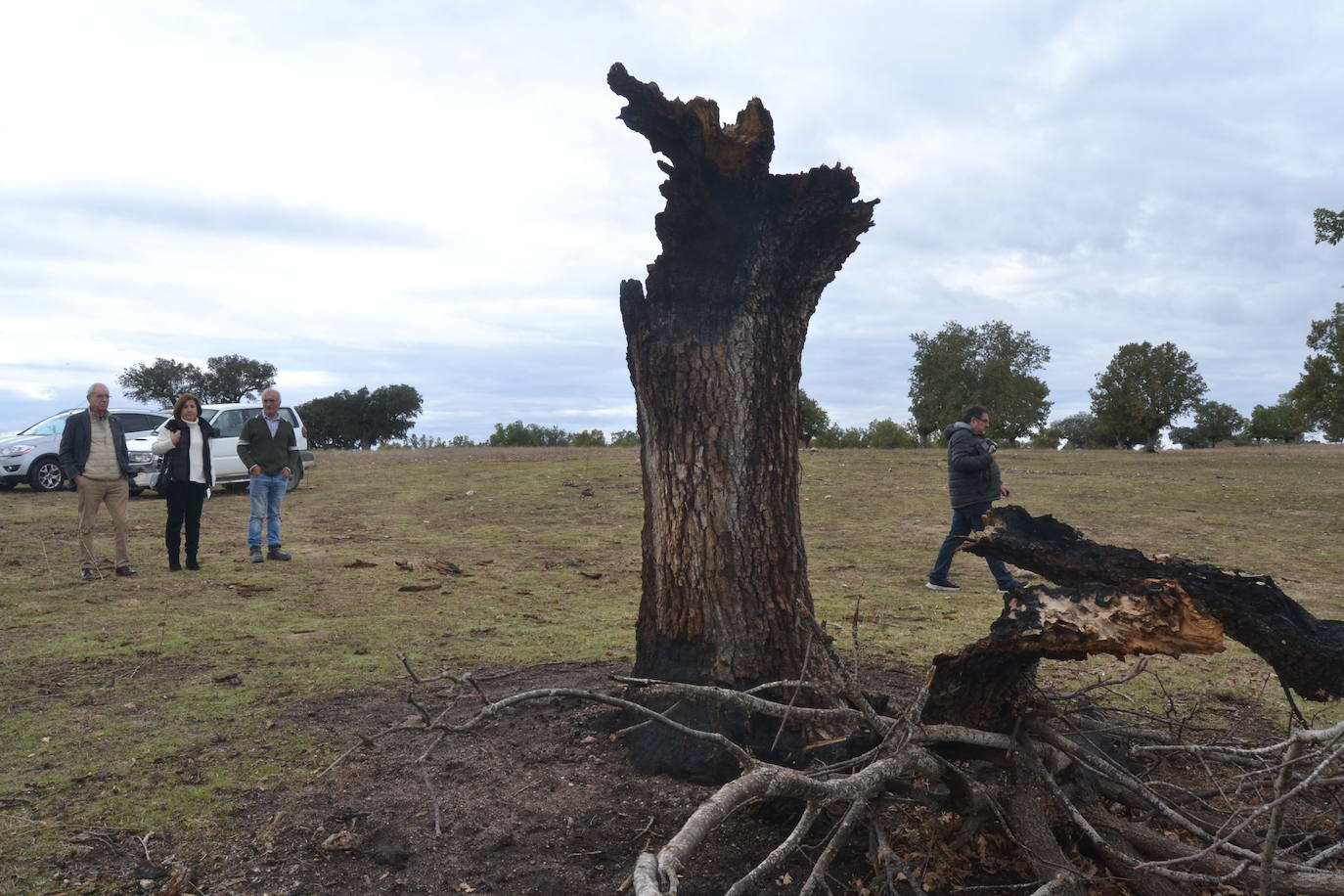 Los ganaderos de Cipérez piden “aprender de los errores”