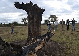 Lugar en que se inició el incendio el pasado 13 de agosto