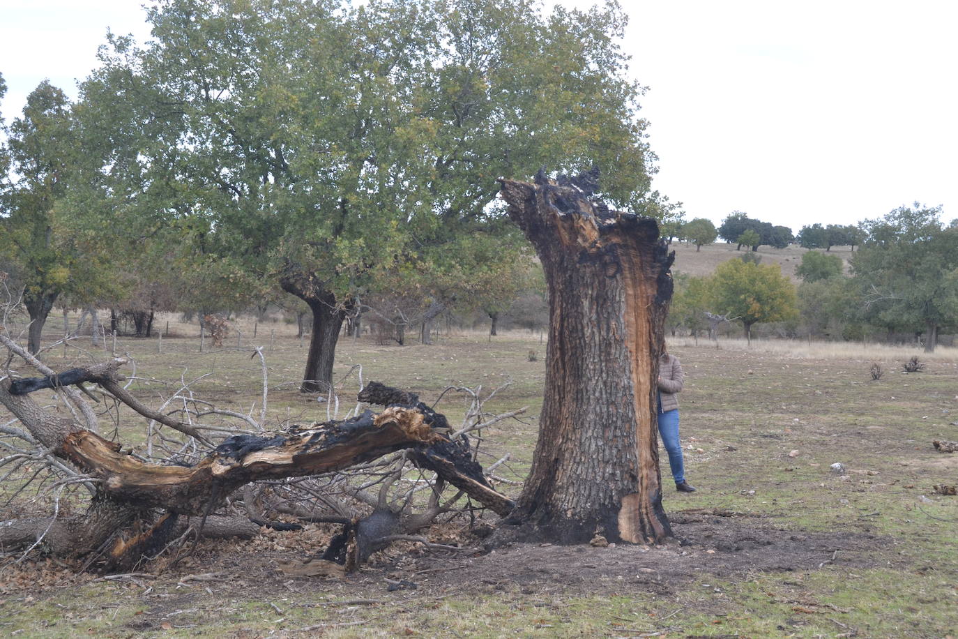 Los ganaderos de Cipérez piden “aprender de los errores”