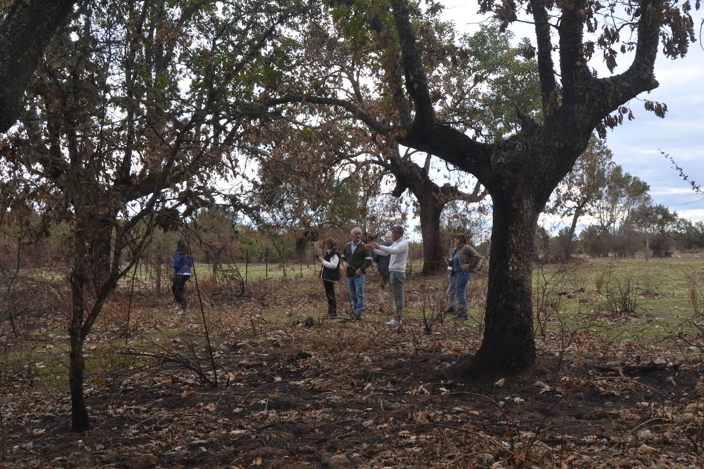 Los ganaderos de Cipérez piden “aprender de los errores”