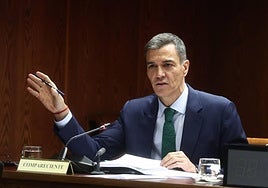 El presidente del Gobierno, Pedro Sánchez, en el Senado.