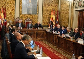 Momento del pleno ordinario de la Diputación celebrado este viernes.