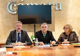 Los abogados Jesús García Martín Carballares, Alfonso Hernández Hernández y Consuelo de Vicente.